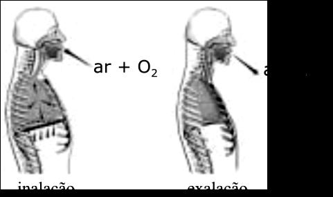 (B) a = 5, b = 2, c = 3, d = 1, e = 2, f = 8, g = 10. (C) a = 3, b = 5, c = 3, d = 1, e = 3, f = 10, g = 8. (D) a = 2, b = 10, c = 3, d = 1, e = 2, f = 10, g = 8.