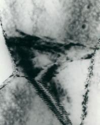 5 a Figura 5 Micrografia em campo claro por contraste de difração ao MET da amostra tratada a 150 0 C por 1000 minutos mostrando a precipitação da fase Al 3 Li e Al 3 Zr e contorno de grão de baixo