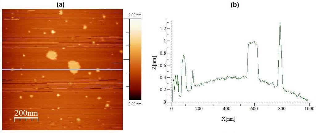 Figura 22: Em (a) imagem topográfica de AFM de partículas de grafite depositadas sobre superfície de mica. Em (b) um perfil topográfico traçado sobre a imagem apresentada em (a).