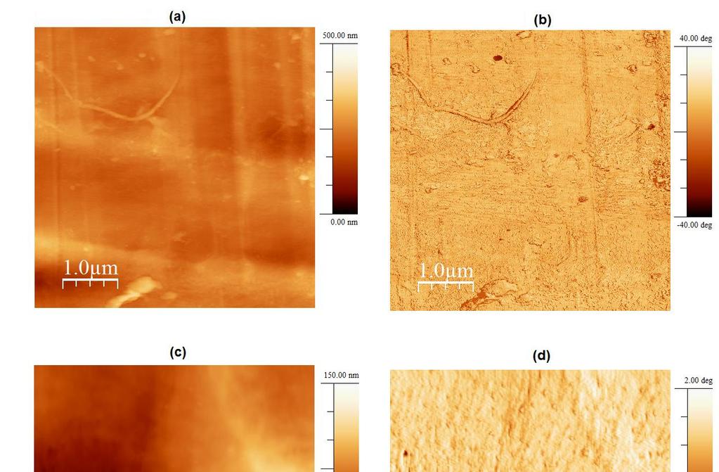 Figura 25: Em (a) e (c) imagens topográficas de AFM da