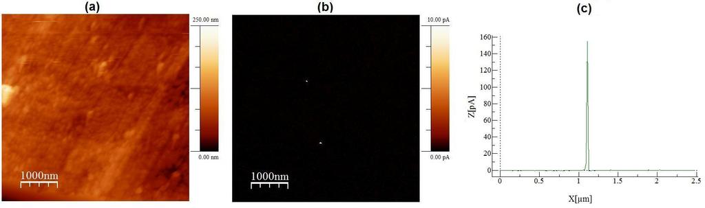 25 µm 2, se observam dois canais de corrente elétrica (pontos brancos) que, de acordo com o perfil da Figura 31c, apresentam valores de aproximadamente 160 pa.