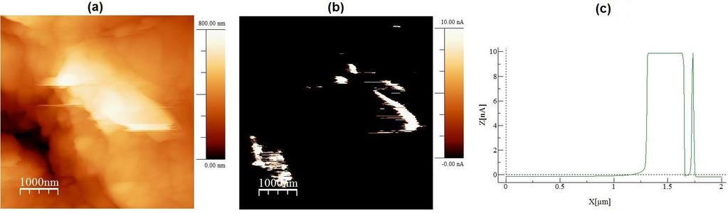 Figura 43: Imagens de AFM da topografia em (a) e do mapeamento de corrente elétrica em (b) da amostra de polipropileno com 20% de grafite.