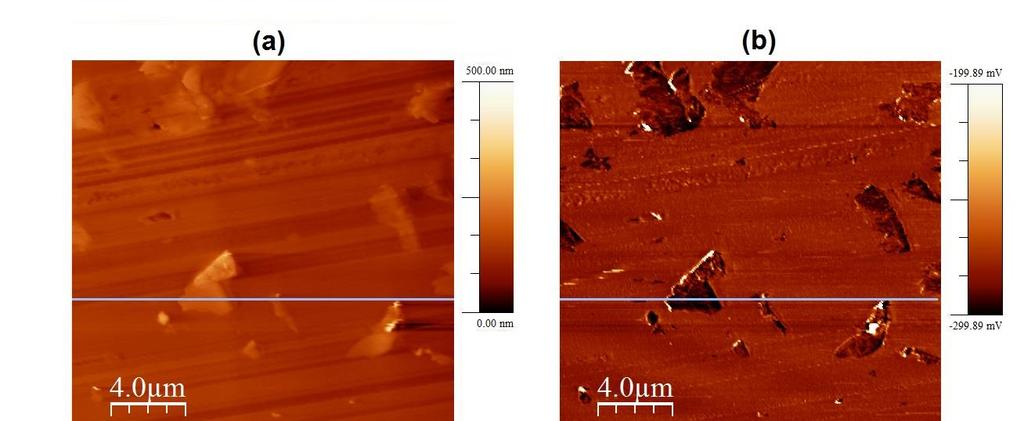 Figura 49: Em (a) imagem topográfica de AFM da amostra de poliestireno com 10% de grafite e em (b) a respectiva