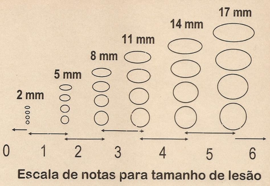 52 AACPD = n i=1 [(Yi + 1 + Yi)/2] [(Ti + 1 Ti)] Onde: n é o número de observações.