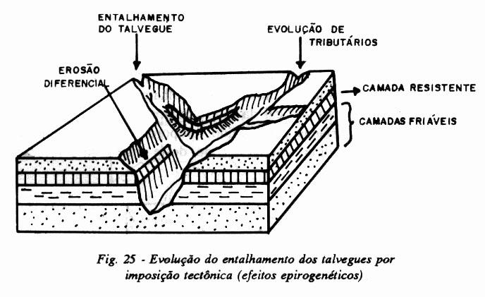 entalhados segundo resistência Desenvolvem-se a partir de camadas sedimentares horizontais ou sub-horizontais, associadas ou não a derrames basálticos concordantes Rios iniciam entalhe seguindo zonas