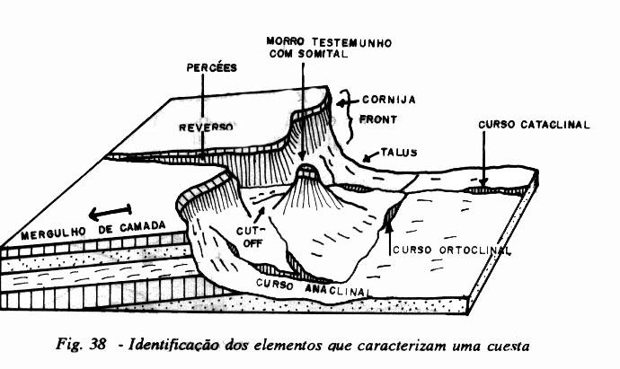 sedimentar Geram relevos subtabulares assimétricos que dependem da diferença de resistência das camadas.