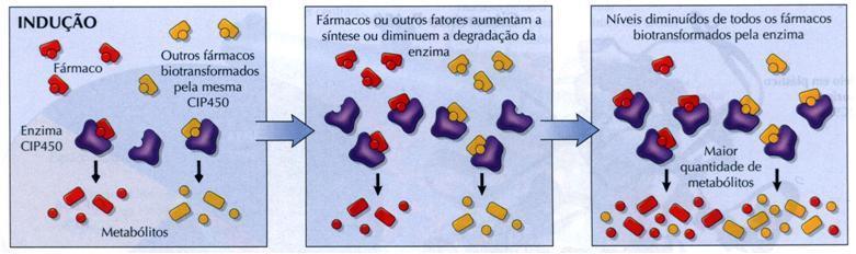 FATORES AMBIENTAIS A atividade de uma