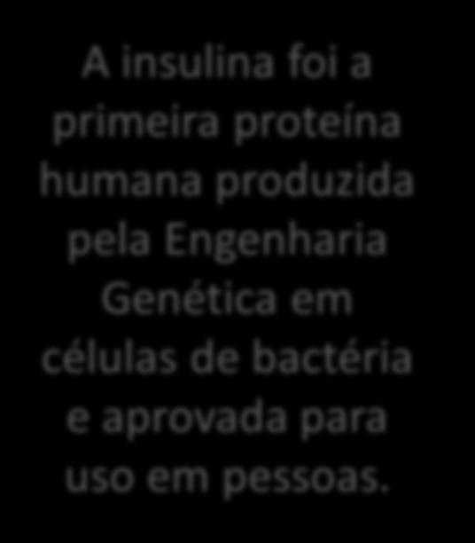 Aplicação da clonagem molecular Representação esquemática da técnica da clonagem