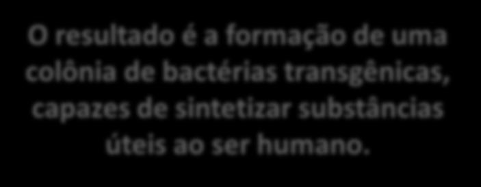 introduzido em uma bactéria hospedeira; Quando a bactéria transformada se reproduz, o DNA recombinante também se replica, obtendo-se milhões de bactérias idênticas ou clones.