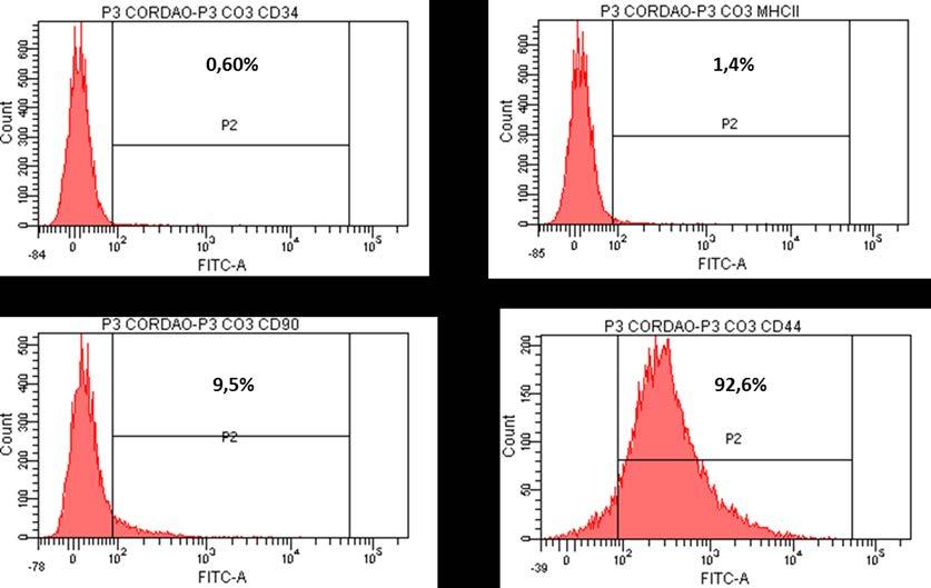 61 Resultados o Caracterização imunofenotípica FIGURA 8. Histogramas representando o perfil imunofenotípico das CTMs-CU a fresco em cultivo primário.