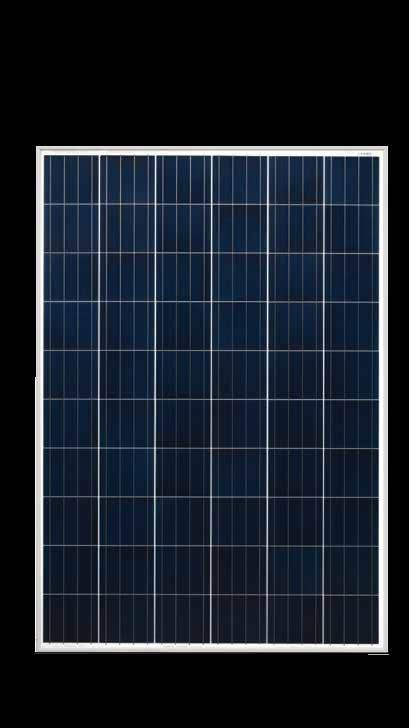 ENERGIA SOLAR PAINÉIS SOLARES FOTOVOLTAICOS 275W POLICRISTALINO Alta confiabilidade, com ótimo rendimento, garantindo uma melhor qualidade na instalação. Selo de classificação energética A do INMETRO.