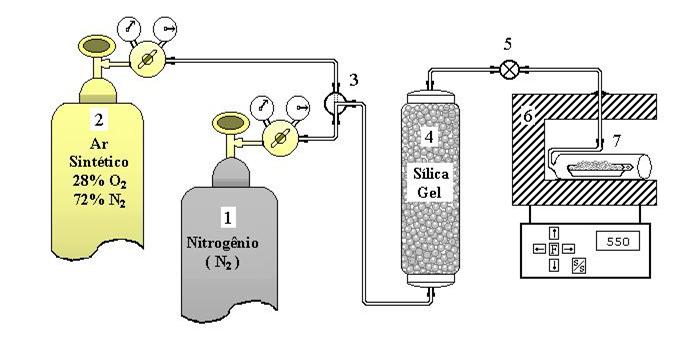 Figura 3. Diagrama esquemático do sistema utilizado para a calcinação das amostras.