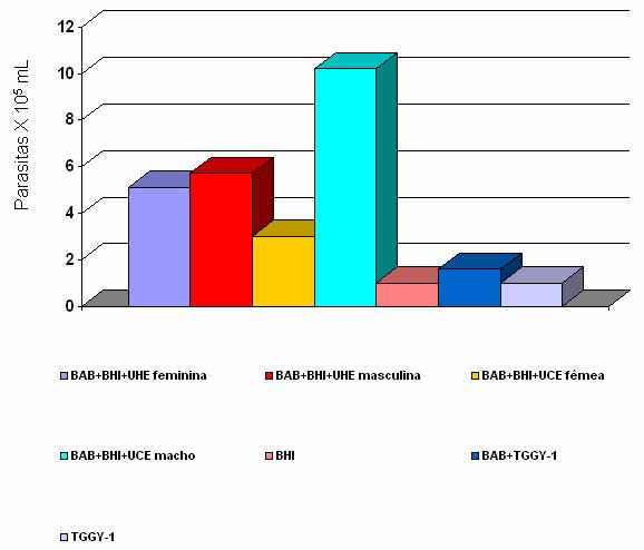 Tabela 3 - Média da densidade parasitária máxima obtida no crescimento primário de Leishmania spp. a partir de amostras de aspirado de baço de cães de Penápolis.