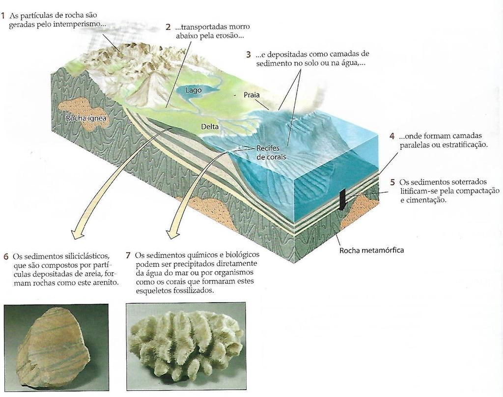 43 Figura 2.6 Esquema de formação de rochas sedimentares (GROTZINGER; JORDAN, 2013