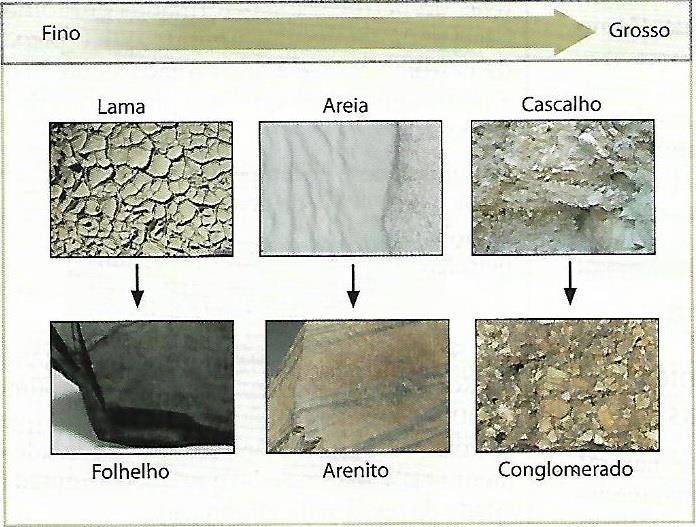 44 GROTZINGER; JORDAN, 2013; TUCKER, 2001; WICANDER; MONROE, 2009).