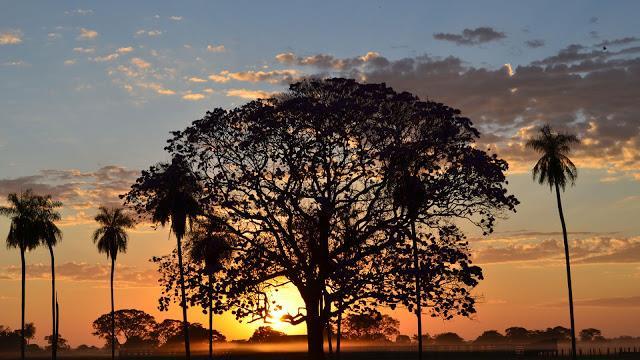 Está situado no sul de Mato Grosso e no noroeste de Mato Grosso do Sul, ambos estados do Brasil, além de também englobar o norte do Paraguai e leste da Bolívia (que é chamado de chaco).