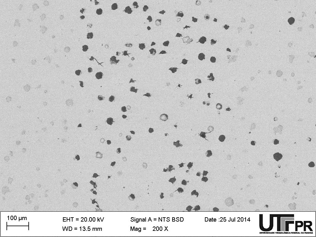 A análise de espectroscopia de dispersão de energia de raios-x, apresentada na Figura 36, revelou que a camada que recobre essas grafitas é mais rica em nitrogênio que a superfície da matriz