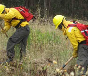 Em paralelo, o Grupo promoveu em 2011 acções de comunicação activa, não só sobre o tema da certificação florestal mas também sobre a conservação da biodiversidade.