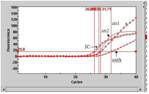 FDA RTPCR SmartCycler II LightCycler 2.