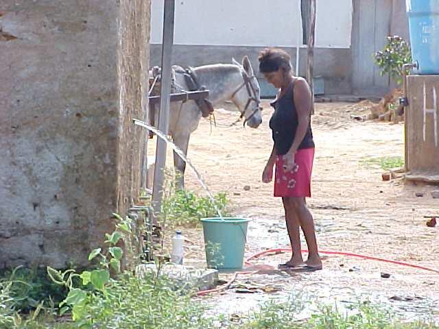 Desafios Tratamento de