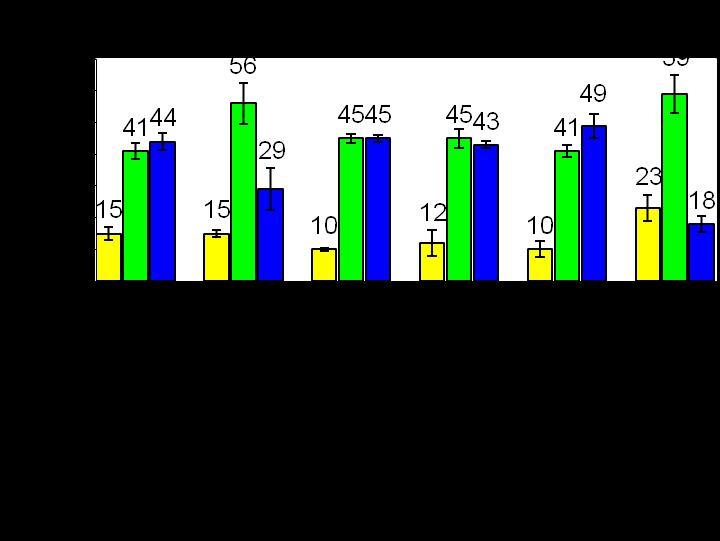 34 GRÁFICO 01 Análise do volume das isoformas da proteína glutamina sintetase nas estirpes SMR1, LNglnKdel(glnK - ) e LNglnB(glnB - ) Média da % de Volume na triplicata em cada condição, com o desvio