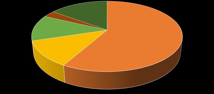 particular com bolsa 3% 0% 15% 12% 12% 58% Todo em escola pública Todo em escola particular com