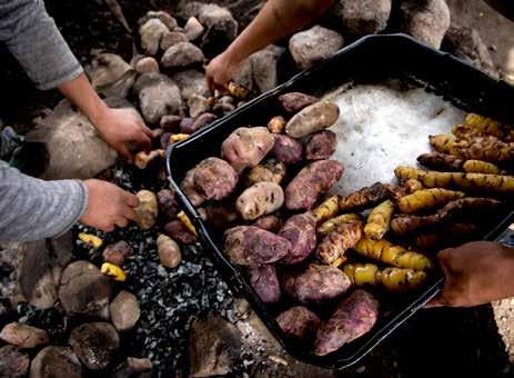 Wayraccmachay DESCIDA PELO BOSQUE DAS NUVENS Chegaremos ao Colpa Lodge na hora do almoço por uma tirolesa incrível, que fica