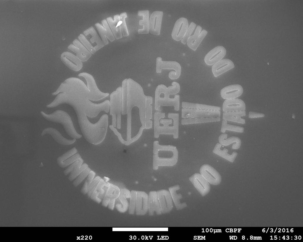 SEM microscopia