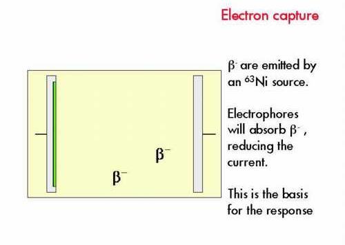 Detectores Detector por captura de elétrons (seletivo) Grupos funcionais eletronegativos N 2 é ionizado por partículas betas produzindo elétrons (ânodo) Gera corrente, resultando