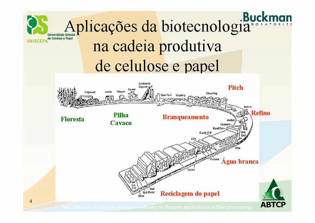 A lica oes da biotecnolo ibauckman Ul odalos lp g F na cadeia produtiva de celulose e papel