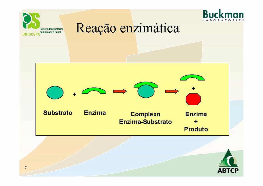 Reapo enzimatica a 0 ie g Substrato Enzima