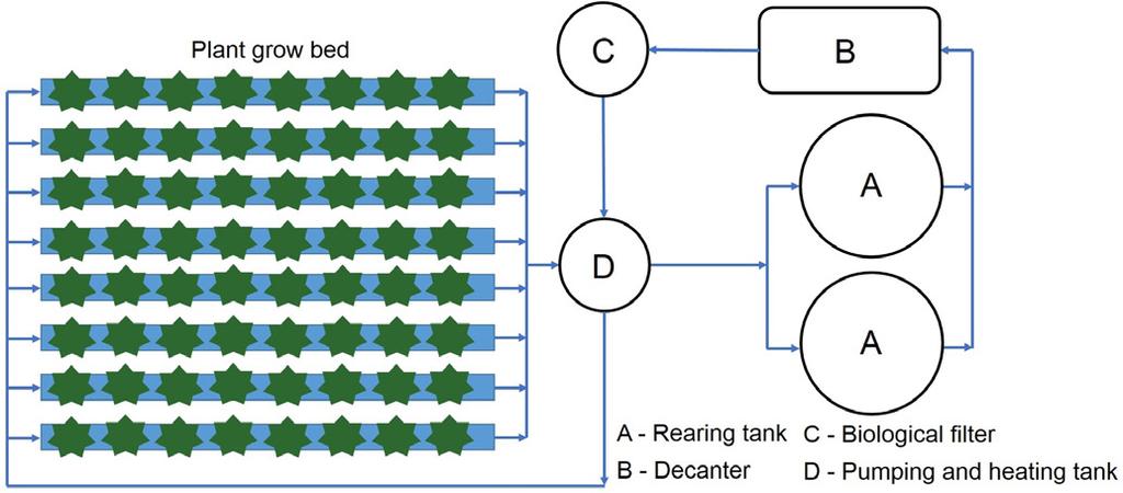 526 Rodrigo A. Jordan et al. Introduction The term aquaponics refers to a set of technologies that integrate fish farming and plant cultivation in a symbiotic system (Goddek et al., 2016).