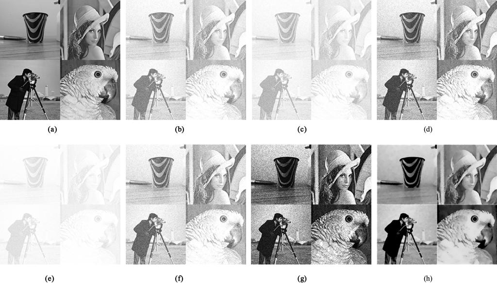 Introdução (Pré-)Processamento de Imagem: suavização de ruído usando um verme inteligente 2014@João Manuel R. S.