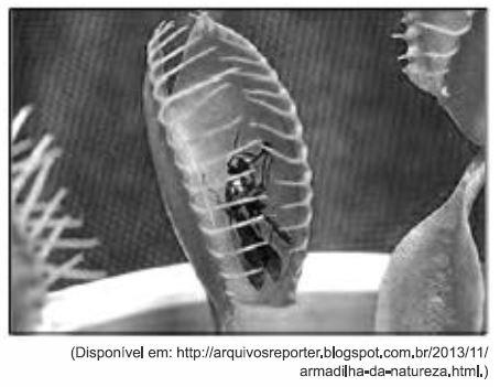 d) tigmotropismo e gravitropismo. e) gravitropismo e hidrotropismo.