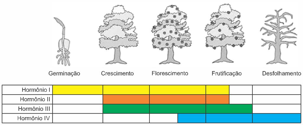 Assinale a alternativa que identifica corretamente os hormônios vegetais representados pelos algarismos I, II, III e IV, respectivamente a) Ácido abscísico Etileno