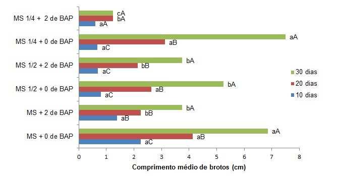 crescimento do broto para 1,25cm quando utilizado o meio nutritivo MS 1/4 + 2 de BAP (Figura 3). FIGURA 3- Comprimento médio de brotos de C.