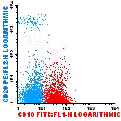 CD19 CD20 FORTE CD22