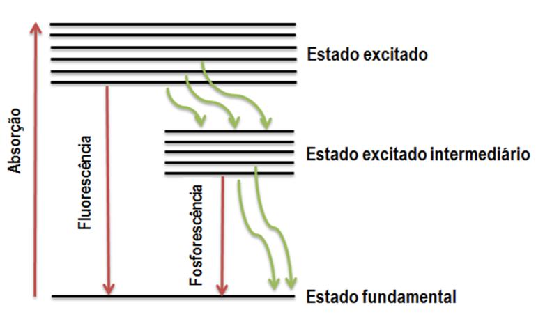 Figura 4: Processos de absorção, fluorescência e fosforescência.
