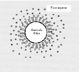 adjuvante (manter isotonicidade)