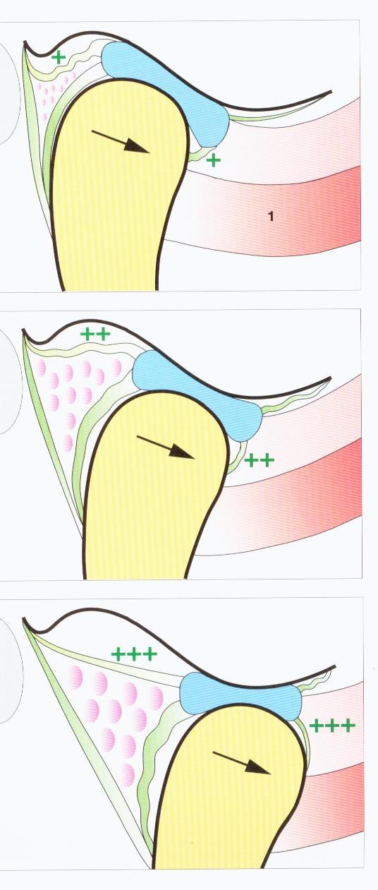 Depressão e Elevação Mandibular A segunda porção do mov.