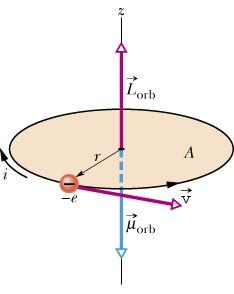 Magnetismo e elétrons Modelo de Espira para Órbitas de Elétrons Podemos obter a equação (3) de modo clássico, supondo que o elétron, em seu movimento circular em torno do átomo, é uma espira de