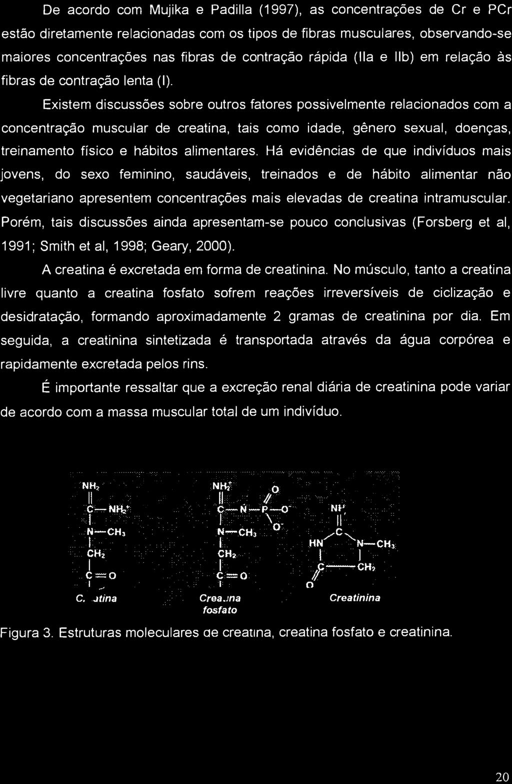 Existem discussões sobre outros fatores possivelmente relacionados com a concentração muscular de creatina, tais como idade, gênero sexual, doenças, treinamento físico e hábitos alimentares.