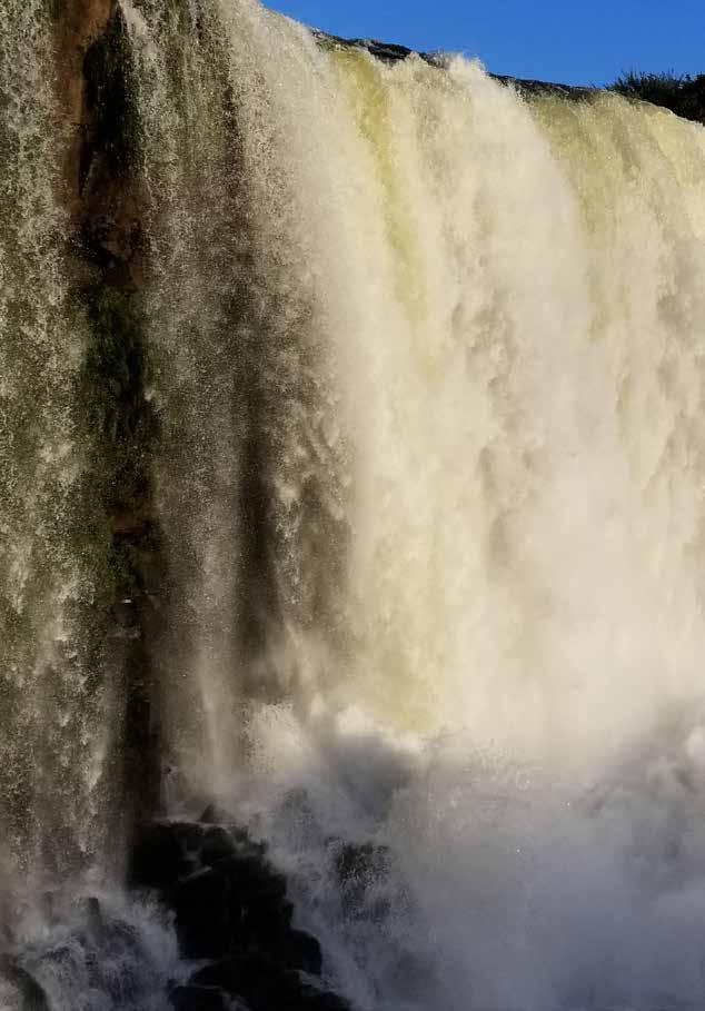 130 Quanto vale o verde: a importância