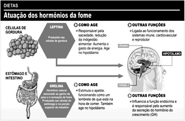 Disponível em: <http://www.anutricionista.com/ grelina-e-leptina-e-a-relacao-com-o-apetite-e-metabolismo-energeti co.html>. Acesso em: 29 out. 2017.