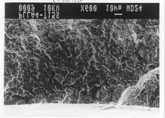 A micrografia referente à superfície da membrana de PLLA, transcorridos 90 dias de imersão em tampão fosfato, está mostrada na Figura 8b.