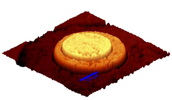 Se poate efectua caracterizarea unei largi varietati de probe (micro si nanostructuri, probe polimerice, probe biologice, probe fluorescente).