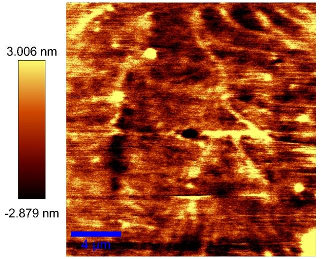 rugozitate a suprafetelor, masurari AFM pentru probe biologice, caracterizari nanoparticule depuse pe substrat.