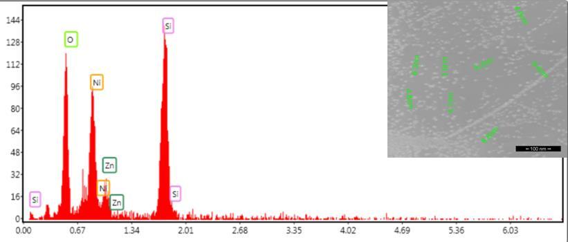 Analiza elementala EDX Grafena decorata cu ZnO NP crescuta pe strat de Ni depus pe substrat de Si Nanohibrid MoS 2 /Pt NP pentru biosenzori Echipamente/aparate/programe folosite: Microscop electronic