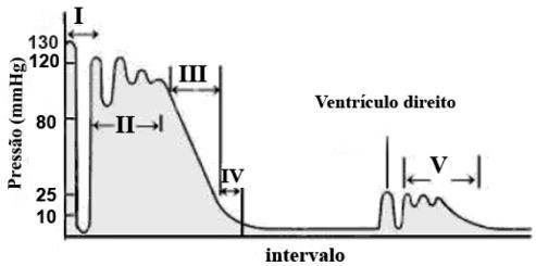 b) As valvas são responsáveis por estimular a contração do miocárdio. c) A contração do miocárdio é completamente independente da ação do sistema nervoso.