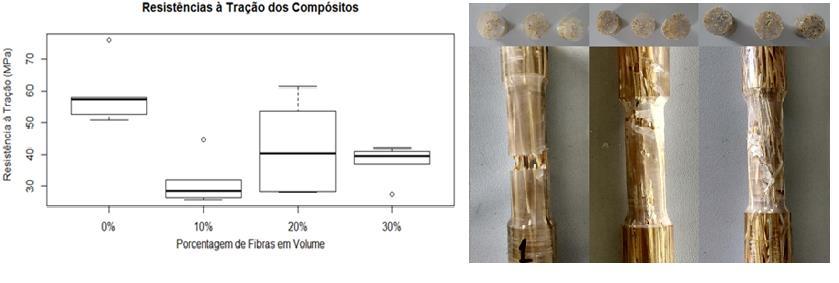 TABELA 9 Variações médias das dimensões das espécies de bambu estudadas para as variações médias de umidade das condições estabelecidas. Espécie Gigante Mossô Cana da Índia 3.